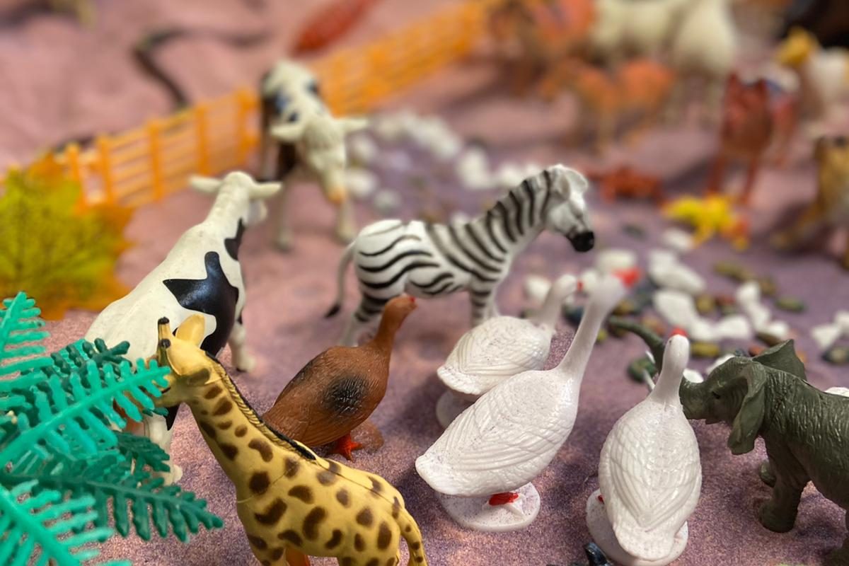 A sensory sand tray with toy animals at the Family Group